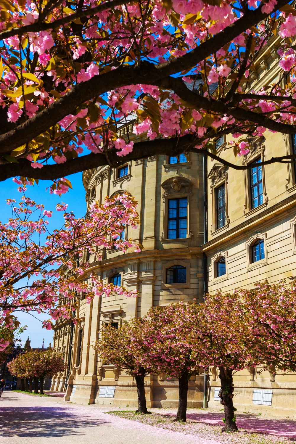 The Würzburg Residenz